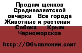 Продам щенков Среднеазиатской овчарки - Все города Животные и растения » Собаки   . Крым,Черноморское